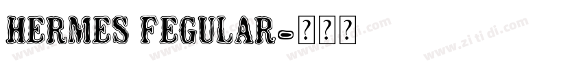 HERMES FEGULAR字体转换